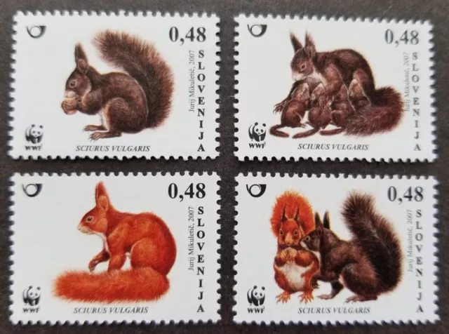 *FREE SHIP Slovenia WWF Red Squirrel 2007 Wildlife Fauna (stamp) MNH