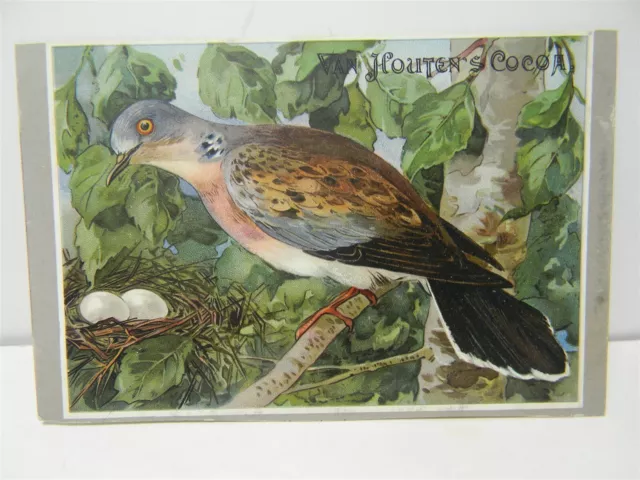Vintage Van Houen's Cocoa Tutle Dove Trade Card - P29