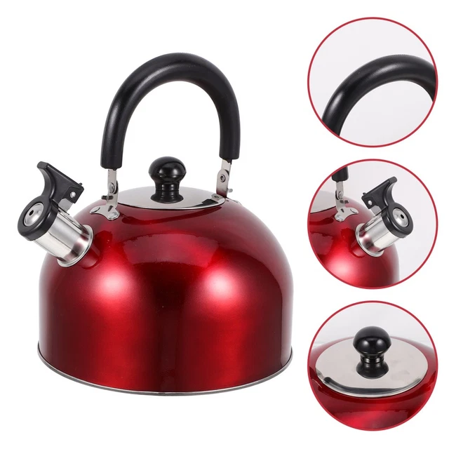 Théière en acier inoxydable avec infuseur, théière avec infuseur amovible pour feuilles en vrac et sachets de thé Bouilloire à thé en métal avec filtre sur la cuisinière pour (1L Théière en acier inoxydable avec infuseur, théière avec infuseur amovible pour feuilles en vrac et sachets de thé Bouilloire à thé en métal avec filtre sur la cuisinière pour (1L