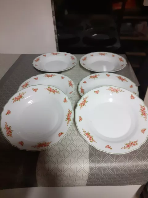 Lot De 6 Petites Assiettes creuses Vintage Arcopal France D 22,5Cm Décor Floral