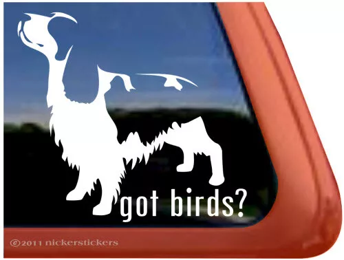 Got Birds? - Springer Spaniel Window Decal