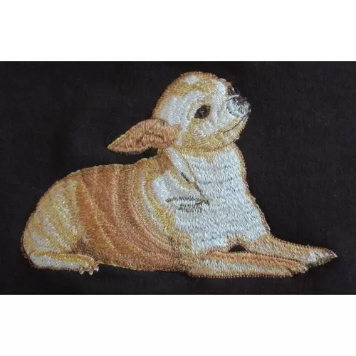 Embroidered Ladies Jacket - Chihuahua AD007 Sizes S - XXL