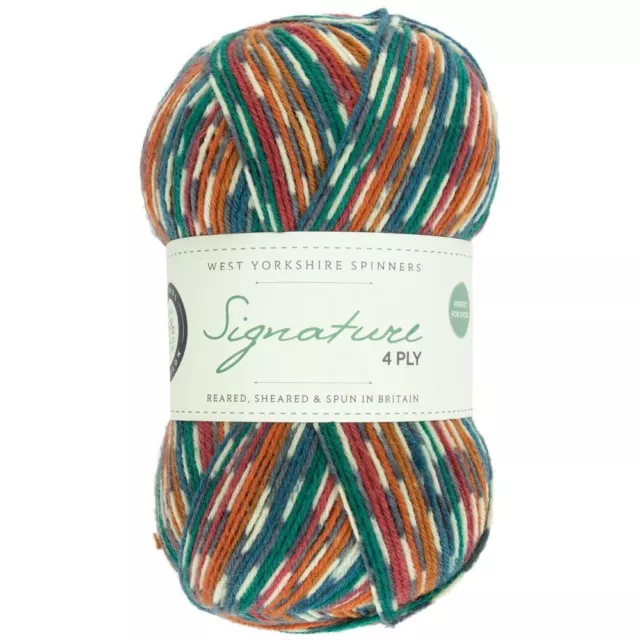 West Yorkshire Spinners Signature 4 Ply Yarn Wool 100g - Pheasant (855)