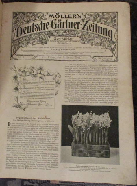 MÖLLER´S DEUTSCHE GÄRTNER Zeitung 20. Jahrgang 1905 EUR 13,00 PicClick DE