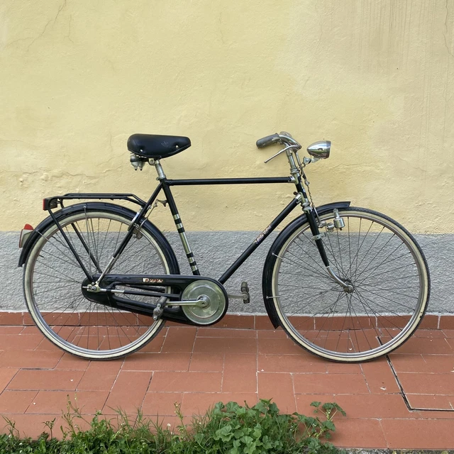 Bicicletta Donna Bacchetta Portapacchi Bici Vintage Vendesi