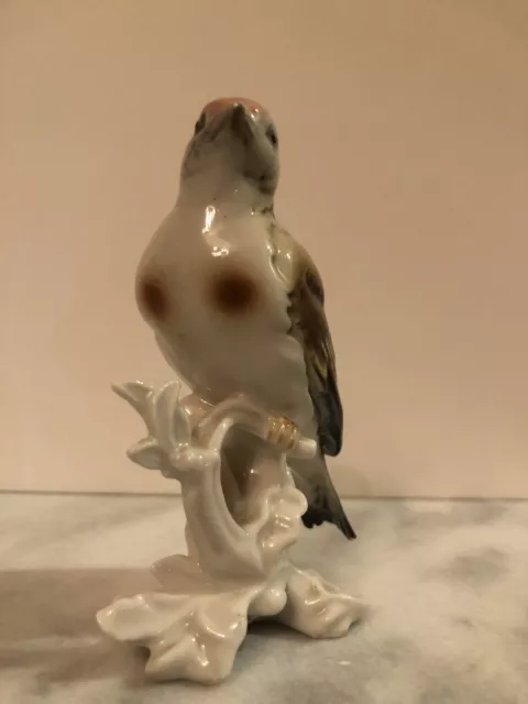 Karl Ens Oiseau Chardonneret Porcelaine de Saxe. RARE 2