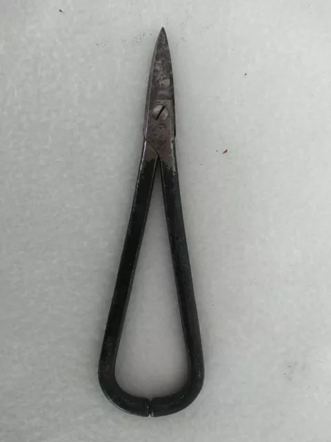 Vintage Clauss Scissors 7"
