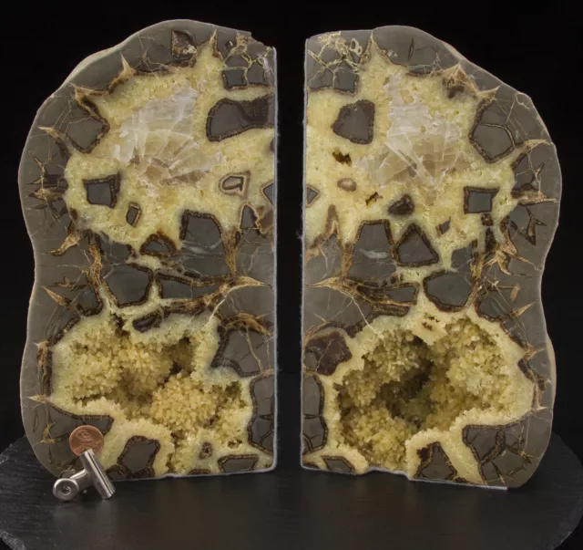 Septarian Geode Nodule Bookends 17.77 lbs Utah Dragon Stone Polished A0136