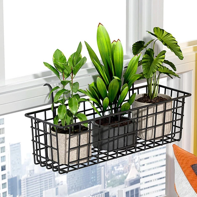 Garden Mile Portavaso Rotondo Con Ruote - Sottovaso Carrello Per Piante, Interni Ed Esterni, Per Vasi Pesanti E Fioriere