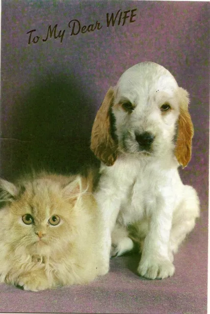Wife Happy Birthday Vintage Greeting Card 1970's Spaniel Puppy Dog Cat Kitten