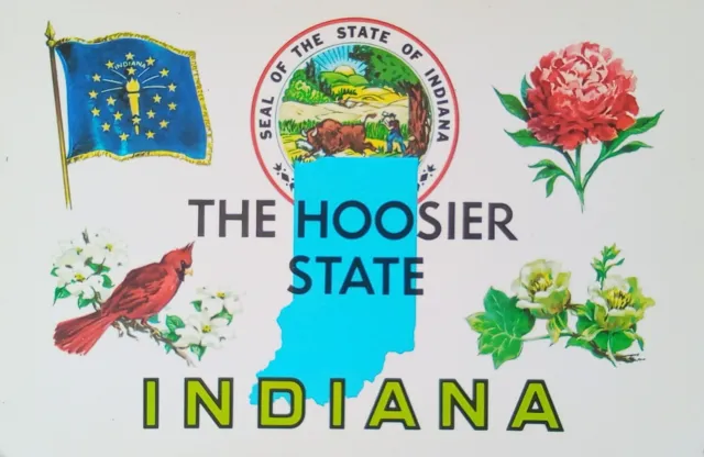 Vintage Indiana 'The Hoosier State' Flag Cardinal Peony Tulip Tree Postcard UNP