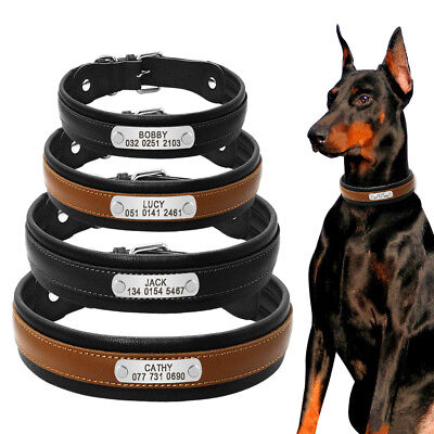 Black Personalized Dog Collars Genuine Leather Soft Padded Large Dogs Collar