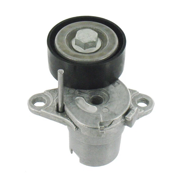 SKF Poulie-tendeur courroie trapézoïdale VKM 31160 Pour AUDI CUPRA SEAT SKODA VW