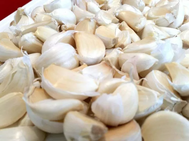 15 Large Garlic Cloves seeds Similar to Elephant Garlic Bulbs Clove Planting Now