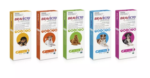 Bravecto Spot On for Dogs Flea and Tick Treatment 6 months 1 Pipette