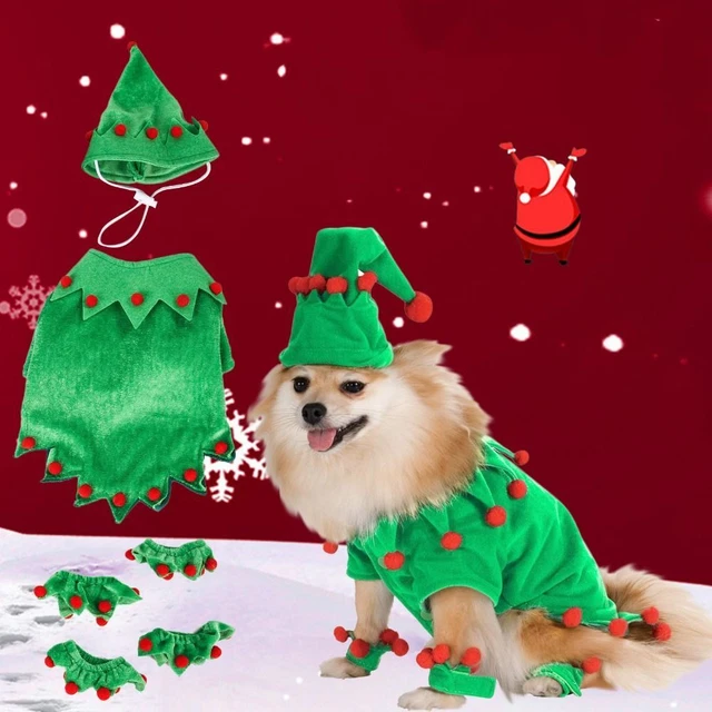 Costume di Natale Gatto Verde Animale Gatto Costume Natale Regalo di Natale