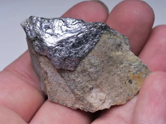 Molybdenite - lustrous, shining crystals on matrix - Krupka, Czech Repubilc Molybdenite - lustrous, shining crystals on matrix - Krupka, Czech Repubilc