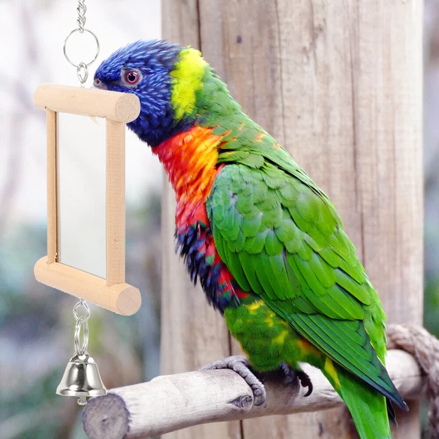 Lustiges Nymphensittich-Spielzeug Vogelkäfig Spiegel Vogel-Intelligenzspielzeug