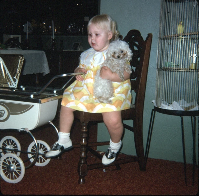 1967 Toddler Girl Yellow Dress Saddle Shoes Holding Dog Vintage 126 Slide 1967 Toddler Girl Yellow Dress Saddle Shoes Holding Dog Vintage 126 Slide