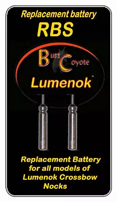 Lumenok BR 425 Replacement Battery for Crossbow Bolt Ends Pack of 2 RBS
