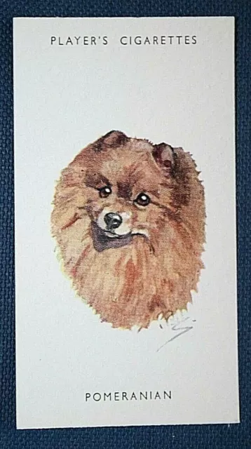 POMERANIAN  Vintage Biegel Portrait Card  QC24
