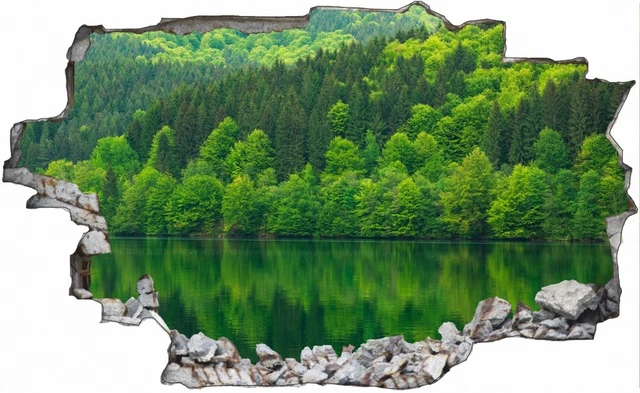 Natur-Wandtattoo Pflanze Ornamente – Selbstklebend In 6 Größen, Für Wohnzimmer, Küche, Schlafzimmer & Mehr