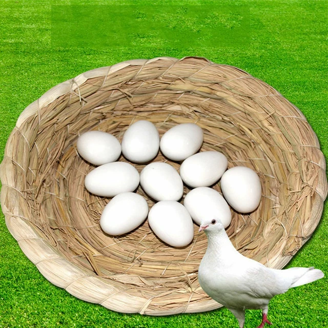 10x White Solid Plastic Eggs Dummy Fake Eggs For Racing Homing Pigeons Supply./