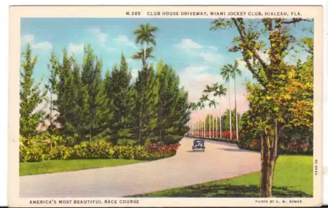 Undated Unused Postcard Club House Driveway Miami Jockey Club Hialeah Florida FL