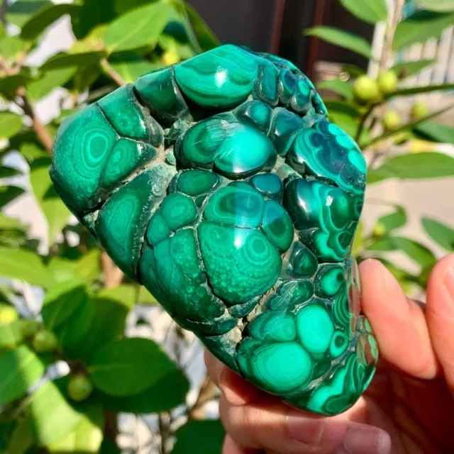 510G  Natural glossy Malachite transparent cluster rough mineral sample 3
