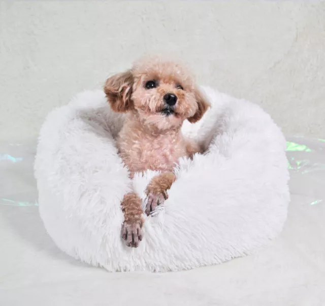 Warm Calming Dog Bed for Dogs Cats Donut Dog Bed Pet  Bed Plush Cat Bed Round