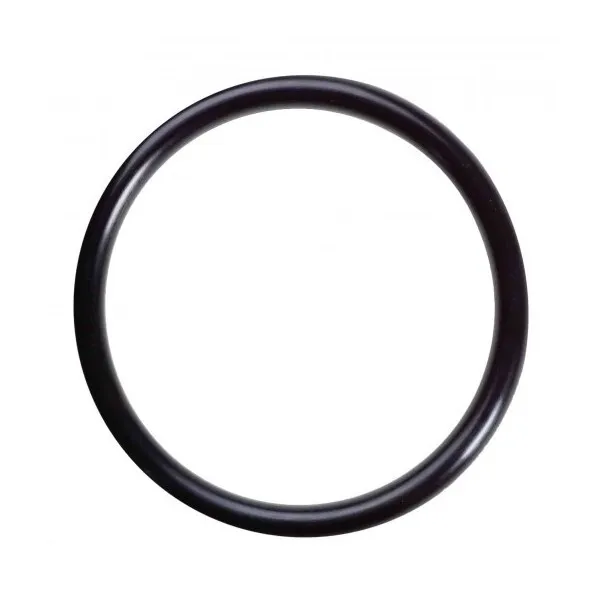 EUR Seals RM047624V75 75 Shore O-Ring Diapositiva Nero 47,60 mm x 2,40 mm confezione da 10