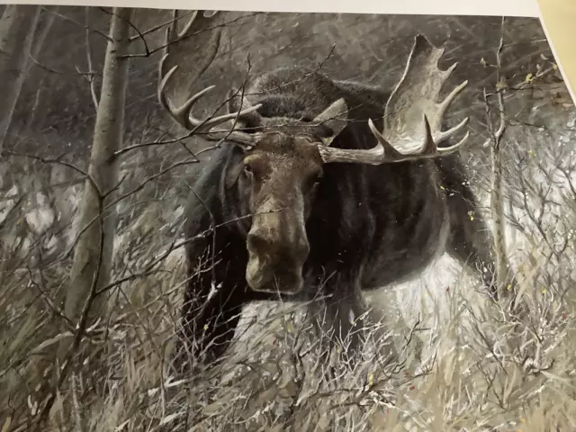Robert Bateman - 1989 The Challenge - Bull  Moose - Lim.Ed. Print Signed