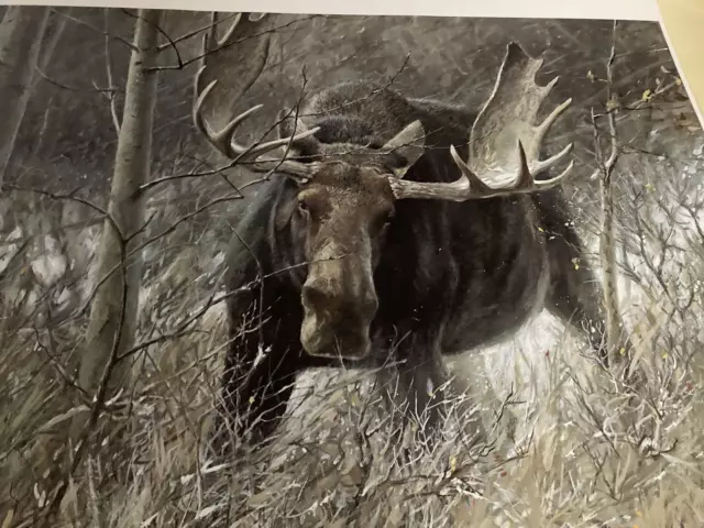 Robert Bateman - 1989 The Challenge - Bull Moose - Lim.Ed. Print Signed Robert Bateman - 1989 The Challenge - Bull Moose - Lim.Ed. Print Signed