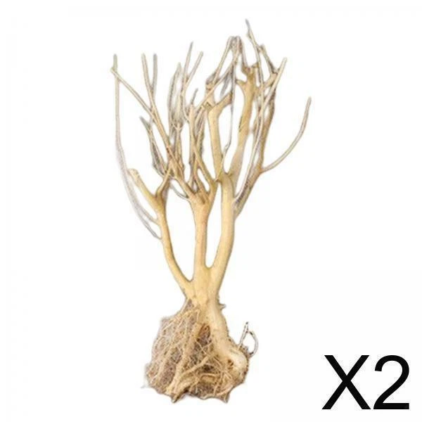 2x Aquarium Naturel Bois Flotté Reptile Branches Terrarium Ornement Tronc