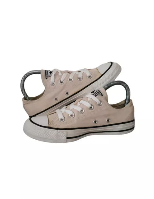 Converse Chuck Taylor All Star Ox Rose