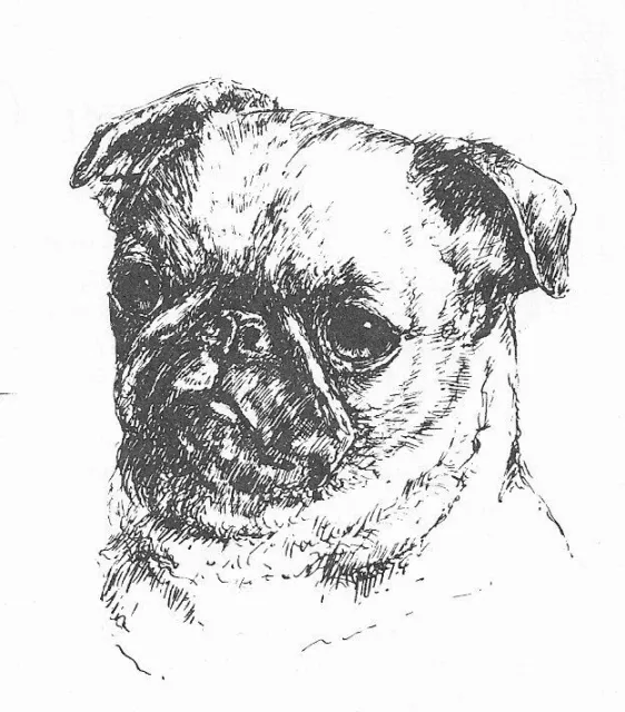 Brussels Griffon #4 - CUSTOM MATTED - 1963 Vintage Dog Art Print 0507 CLD