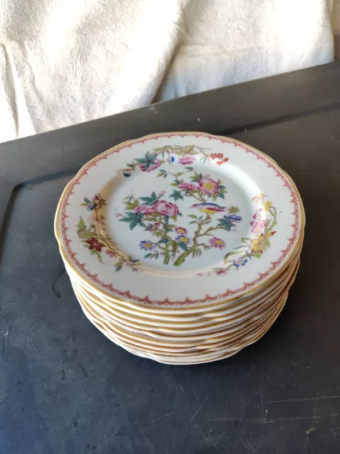 LOt(11)OLD IVORY SYRACUSE CHINA OPCO BOMBAY BIRD FLOWERS 7" round plate