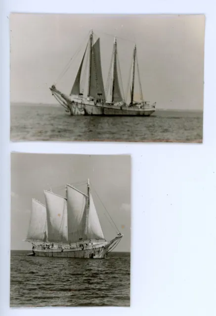 1950s Photos Maryland Easton Chesapeake Bay Boats Sailboats on the Water