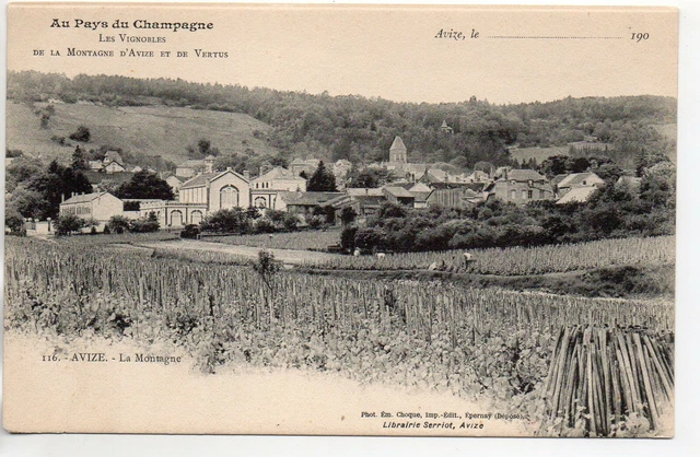 AVIZE - Marne - CPA 51 - In the Pays du Champagne - the mountain - the vineyards