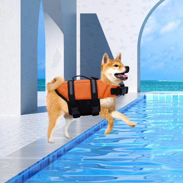 Chaleco salvavidas para perro talla L chaleco salvavidas chaleco ajustable