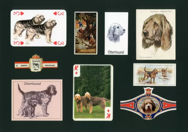 Otterhound Dog Mounted Set Vintage Dog Collectible Cards And Bands Great Gift