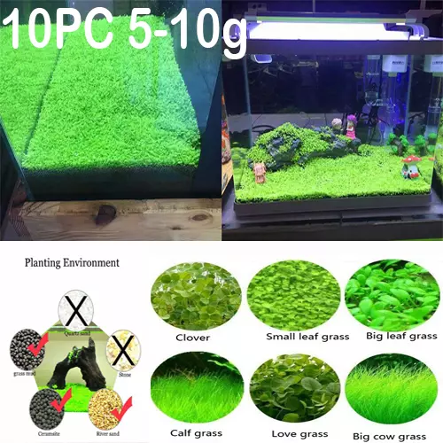 100g Aquarium Plant Seeds Fish Tank Aquatic Small Water Grass Foreground Plants