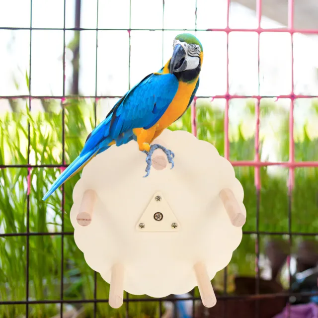Papageien-Riesenrad Hölzern Vogelstange Spielzeug Nymphensittiche Sitzen