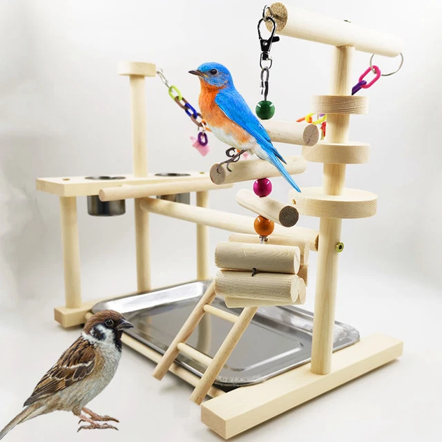 Vogel-Rack-Spielstand, Vogel-Spielplatz Sittich Nymphensittich Papagei Turnhalle