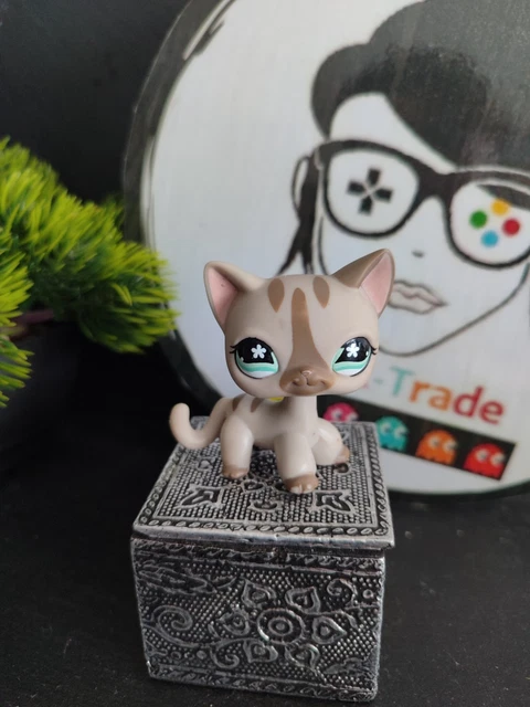My Littlest Petshop LPS chat europeen 468 792 cat european Shorthair Pet Shop : Achat occasion | Figurines Hasbro Vert Plastique 16 ans et + Très bon état