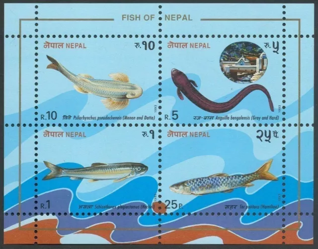 Nepal, 1993, Fish, Fishes, souvenir sheet
