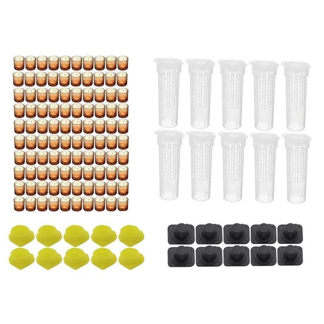 130PCS/Set Complete Bee Queen Rearing Cup Kit System Beekeeping  Plastic Tools