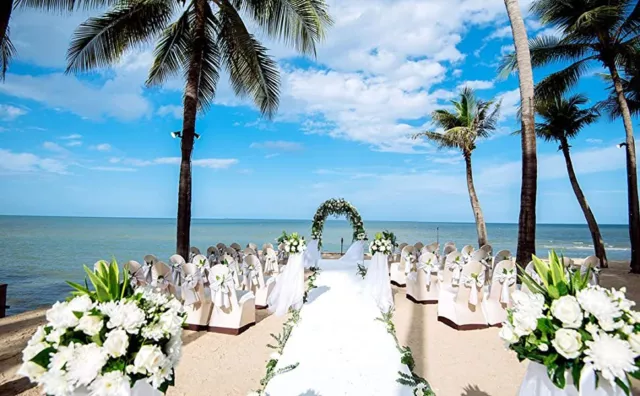 Passatoia Tappeto Guida Nuziale Blanc Matrimonio Natale Corsia Chiesa 2