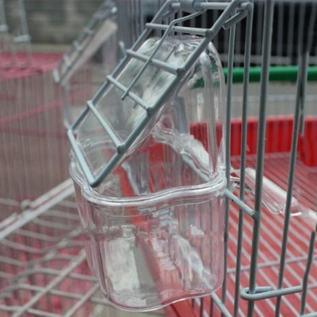 Jaula de plato alimentador de pájaros extraíble guacamayo perca de agua periquito canario cacatúa