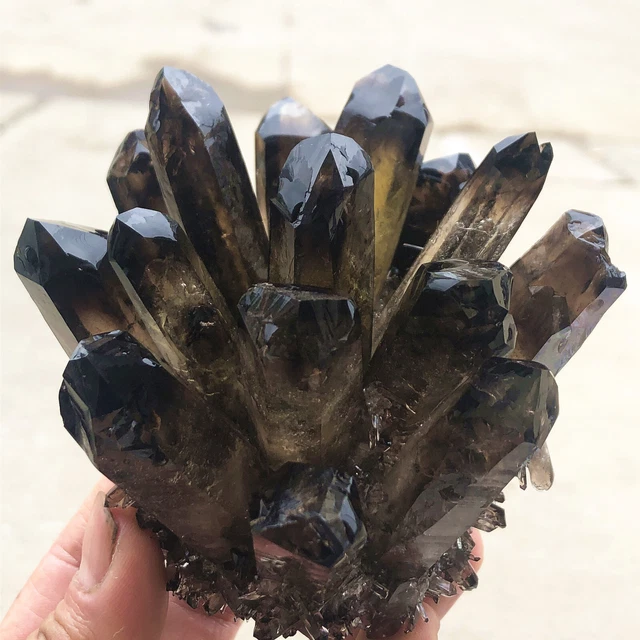1.33lb New Find Black Phantom Quartz Crystal Cluster Mineral Specimen Healing 11